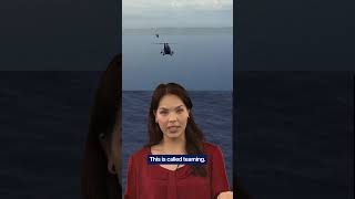 What are UAS?