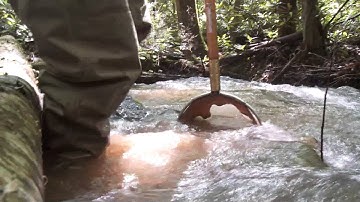 Virginia Tech: Water quality in streams