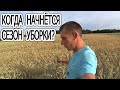 12 июля. Еду смотреть все засеянные поля. Когда начнём убирать?