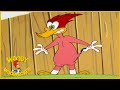 Woody Woodpecker Show | Super Woody | 1 Hour Compilation | Cartoons For Children