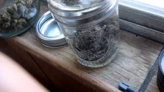 420 Smokeout And Plant update
