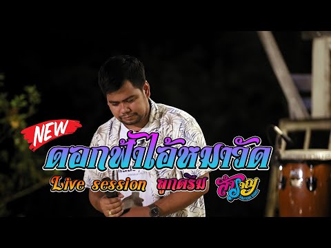 ดอกฟ้า ไอ้หมาวัด-ลูกดรีม วงสำราญ ( Live session )