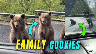 Car Passengers Throw Cookies to During a Family Road
