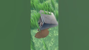 101 Raft Tips: #31: Rare Items