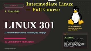 I Made the Only Ubuntu Course You'll Ever Need (100% Free)