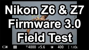 Nikon Z6, Z7 3.0 Firmware Field Test