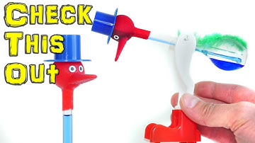 Check Out This Amazing Science Toy - Drinking Bird