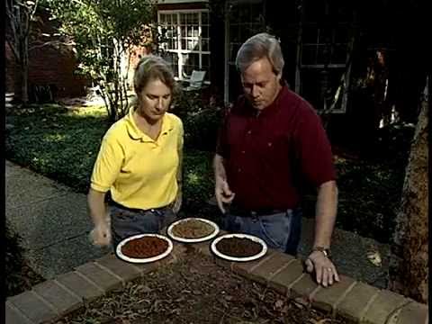 How to Identify the Type Soil in Your Garden - YouTube