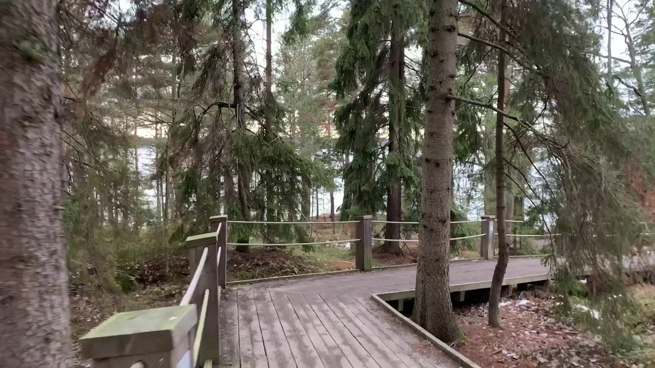 Stockholm Walks: the forest at Artipelag Art center