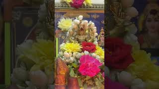 Govindagovinda #balaji #tirupati #god #godisgood #devotion #devotional #devotionalshorts #devotional