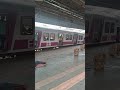 Down  memari  local  departure  on platform