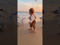 A baby playing with seagulls on the beach #seagulls #cutebaby