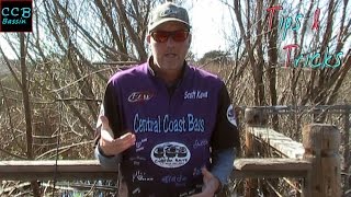 The Should Bes Of Bass Fishing Tips Tricks By Central Coast Bass