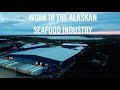 Inside look at the Alaskan seafood industry-Silver Bay Seafoods-