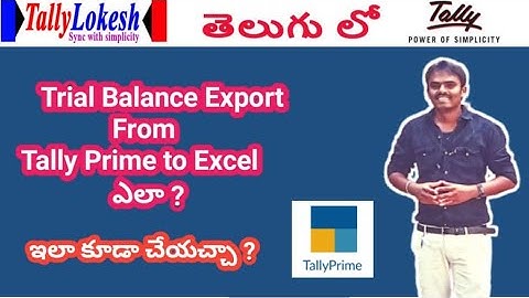 How to Export Trial Balance From Tally to Excel in Telugu 2021 ?