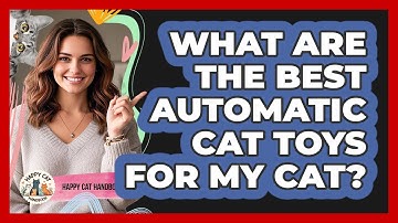 What Are The Best Automatic Cat Toys For My Cat? - Happy Cat Handbook