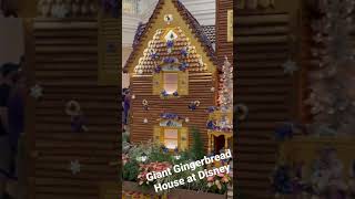 Giant Gingerbread House at Disney’s Grand Floridian Resort