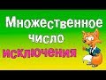 Грамматика английского языка.Множественное число в английском языке (Исключения)