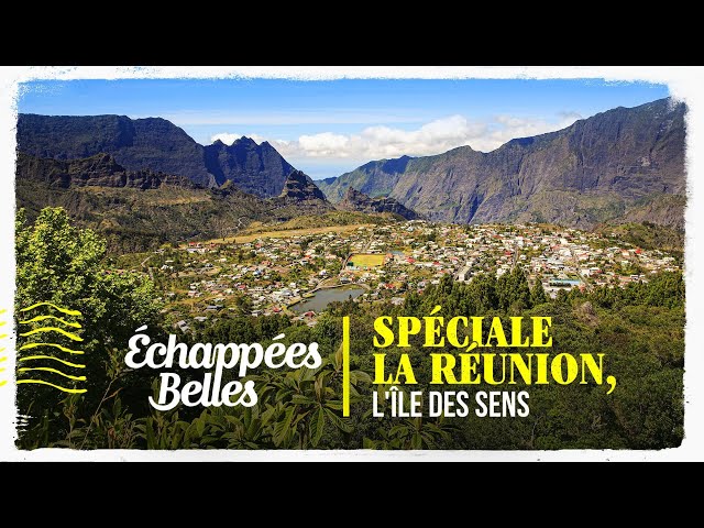 Documentaire : Les secrets de l'île de la Réunion 