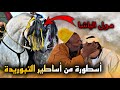 زرنـا هرم من أهرام التبوريدة من أستاذ إلى مقدم لعب ب 76 حصان أمام الملك محمد السادس الله ينصروا