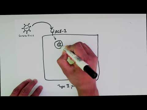 covid-19-:-hydroxychloroquine+mechanism