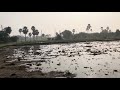 Village beauty telangana