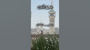 القرآن الكريم ايات من سورة العنكبوت