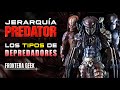 TIPOS DE PREDATORS❗ JERARQUÍA, RANGOS y TIPOS de DEPREDADORES | La Cultura y Jerarquía Yautja 🔥