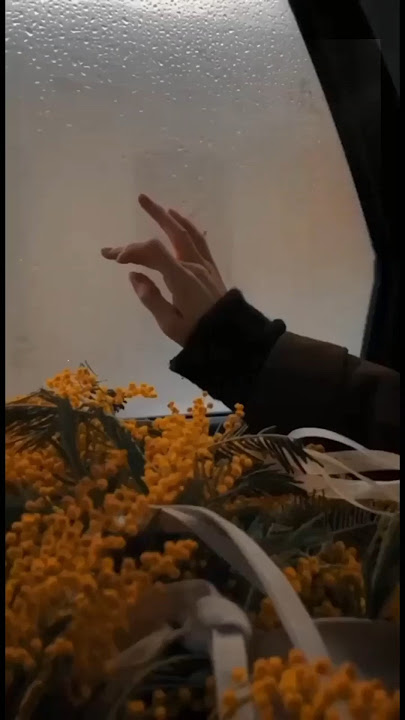 @BTS ~ I'm Fine song english lyrics #bts #jin #rm #jhope #jk  #suga #v #jimin #shorts #subscribe 💜