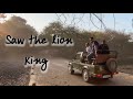 SHER AAYA | WE SAW A BIG LION| CHANGE YOU MOOD WITH OUR JUNGLE SAFARI