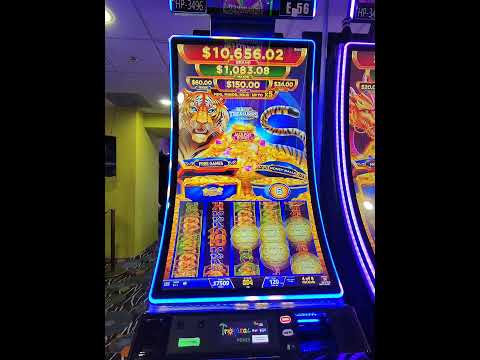rydurz legally robs the table for everything t #blackjack #poker #casino