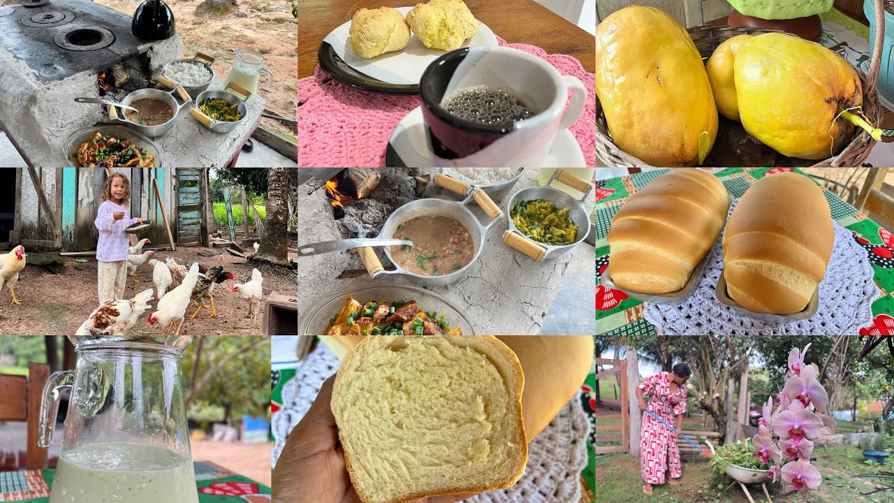 Minha rotina morando aqui na ROÇA/ cuidando do quintal e ALMOÇO NO FOGÃO A LENHA E O PAO CASEIRO 