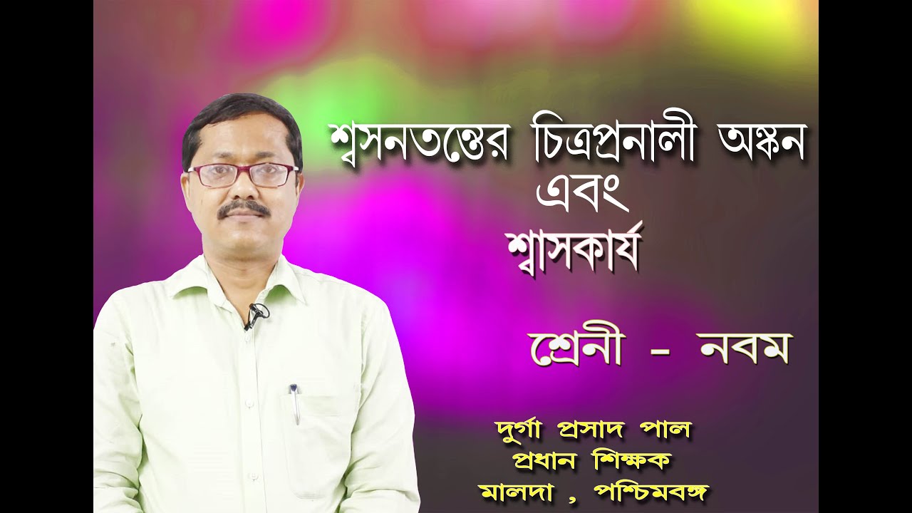 human respiratory system bengali class 9/lungs structure and function