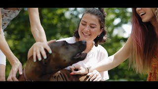 The Hamilton Family - MaryEllen Locher Breast Center of Excellence