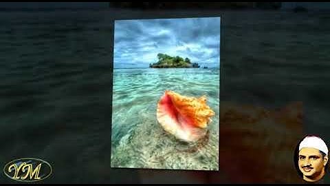 061  Surat   AsSaff الشيخ محمد صديق المنشاوي  سورة الصف