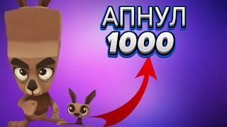 МОЛЛИ НА 1000 КУБКОВ | ZOOBA