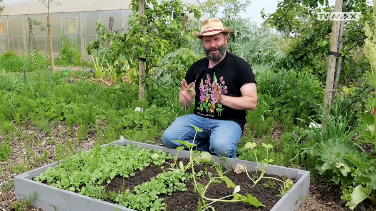 Ogród na miarę - 2025.06.07