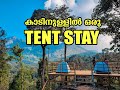 STAY AT FOREST | WAYANAD 900 KANDI | VLOG #1