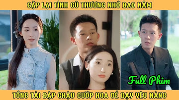Gặp Lại Tình Cũ Thương Nhớ Bao Năm - Tổng Tài Đập Chậu Cướp Hoa Để Dạy Yêu Nàng