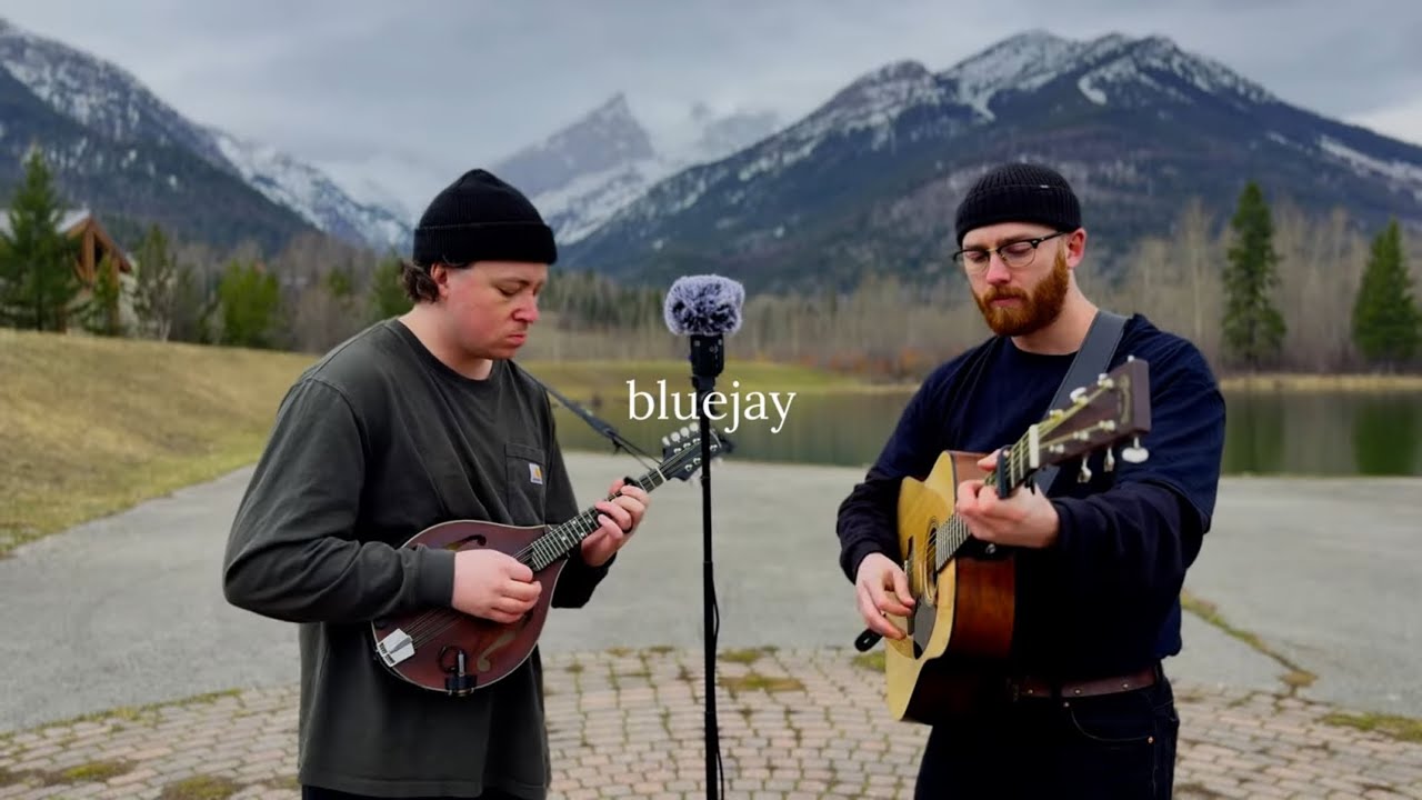 Tailgator - Bluejay auf YouTube ansehen Tailgator - Bluejay auf YouTube ansehen