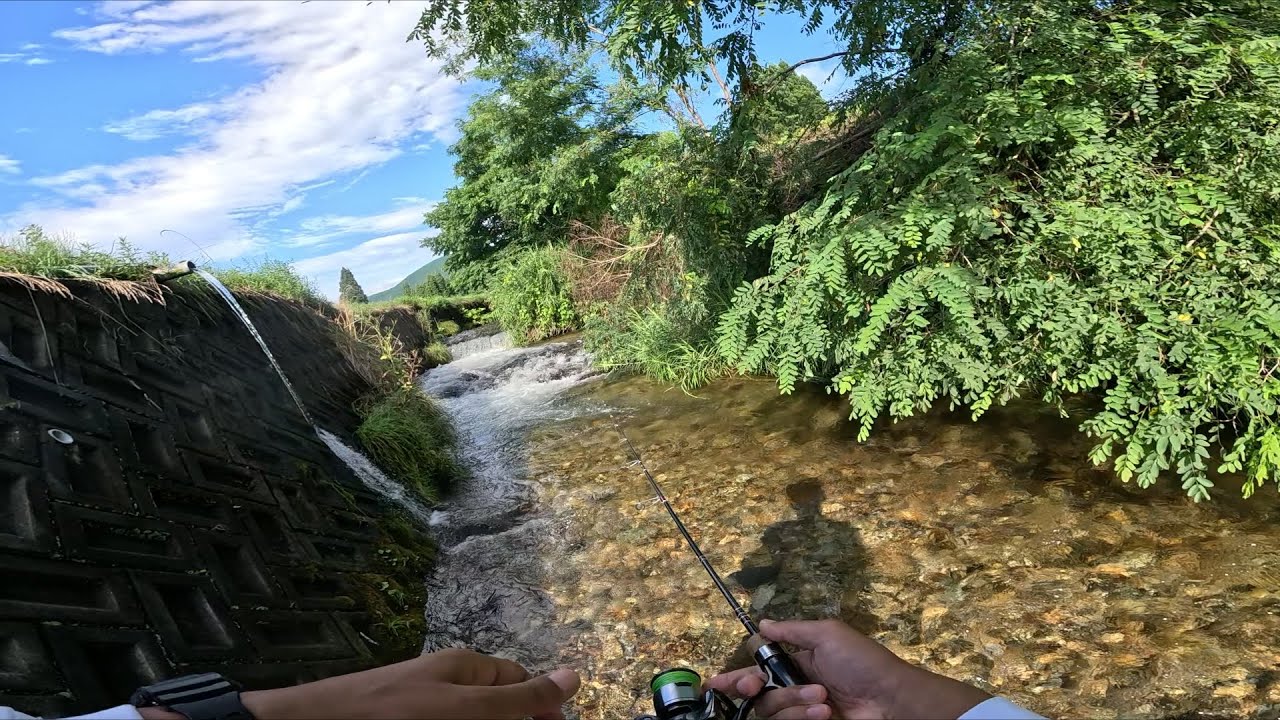 真夏の尺山女魚！諦めず釣りに行き続けてようやく釣れた！！