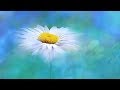 Peaceful music, Beautiful Instrumental Music, "Places of Peace' by Tim Janis