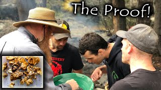 MASSIVE gold deposit found and proven!