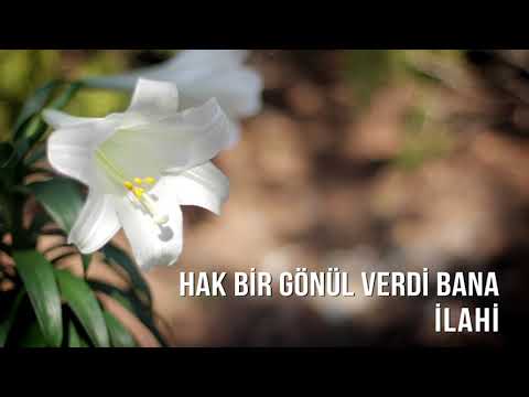 Müziksiz İlahiler - Hak Bir Gönül Verdi Bana