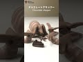 チョコレートクラッパーのボイル Boiled chocolate clappers