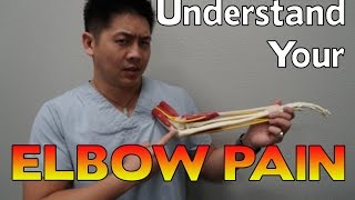 Don't Let Elbow Pain Stop Your Workouts | Correct Your Form