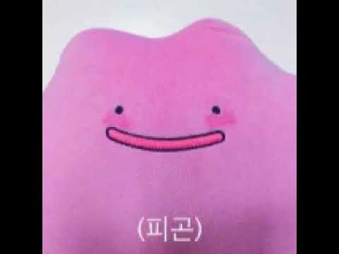 [TJ노래방라운지] 사랑은눈꽃처럼(세상어디에도없는착한남자OST) - 시아준수