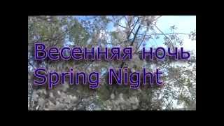 Весенняя ночь. Сергей Чекалин. Spring night. Sergey Chekalin.