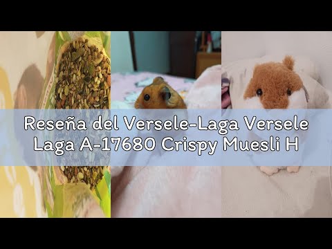 Reseña del Versele-Laga Versele Laga A-17680 Crispy Muesli Hámster - 1 kg
