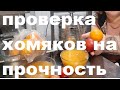 за 100 ТЫС! БЫКОВА ПРОДАЁТ свою ЗАРПЛАТУ!